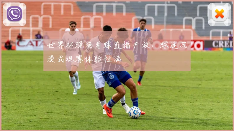 世界杯现场看球直播开放,球迷沉浸式观赛体验拉满
