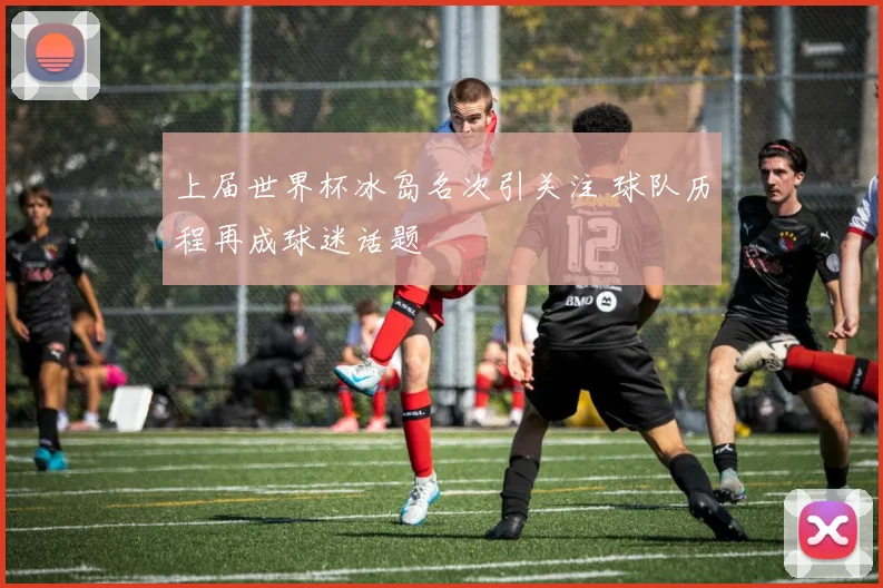 上届世界杯冰岛名次引关注 球队历程再成球迷话题